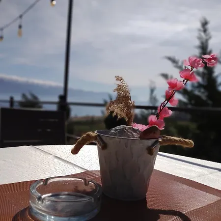 Bar Restaurant Stone Dream