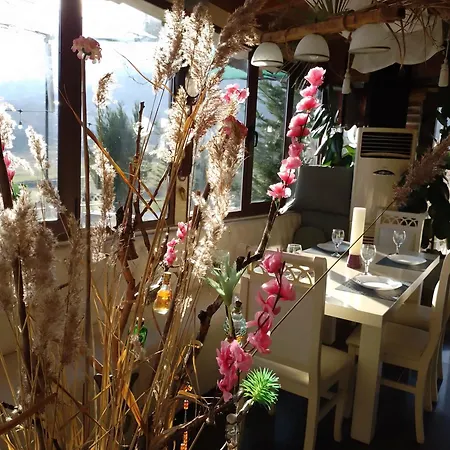 Bar Restaurant Stone Dream Проживание в семье